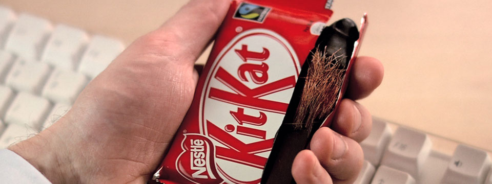 kitkat stopt met gebruik foute palmolie