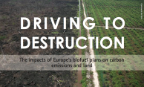 Driving to Destruction